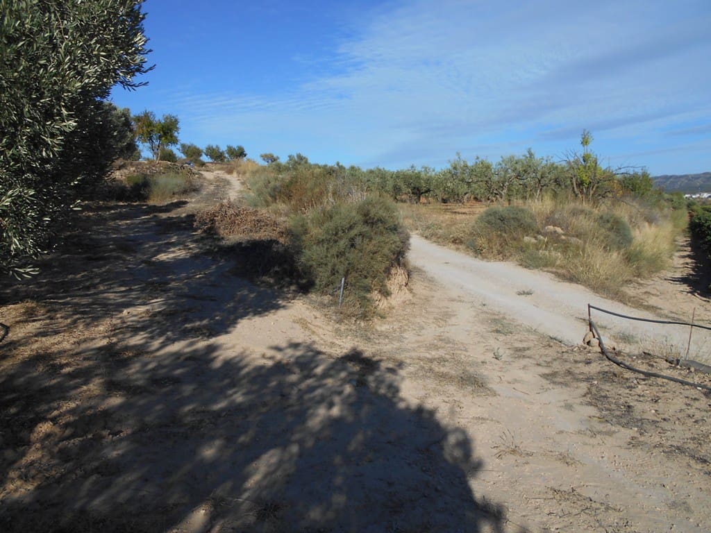 Finca/Casa di Campagna in vendita in Gandesa - 12.000 € (Rif: 10120575)