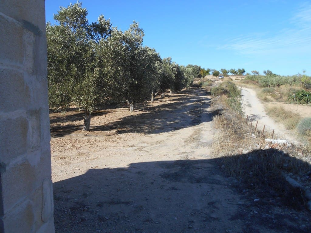 Finca/Casa di Campagna in vendita in Gandesa - 12.000 € (Rif: 10120575)