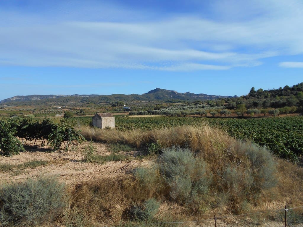 Finca/Casa di Campagna in vendita in Gandesa - 12.000 € (Rif: 10120575)