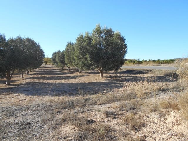 Finca/Casa di Campagna in vendita in Gandesa - 12.000 € (Rif: 10120575)