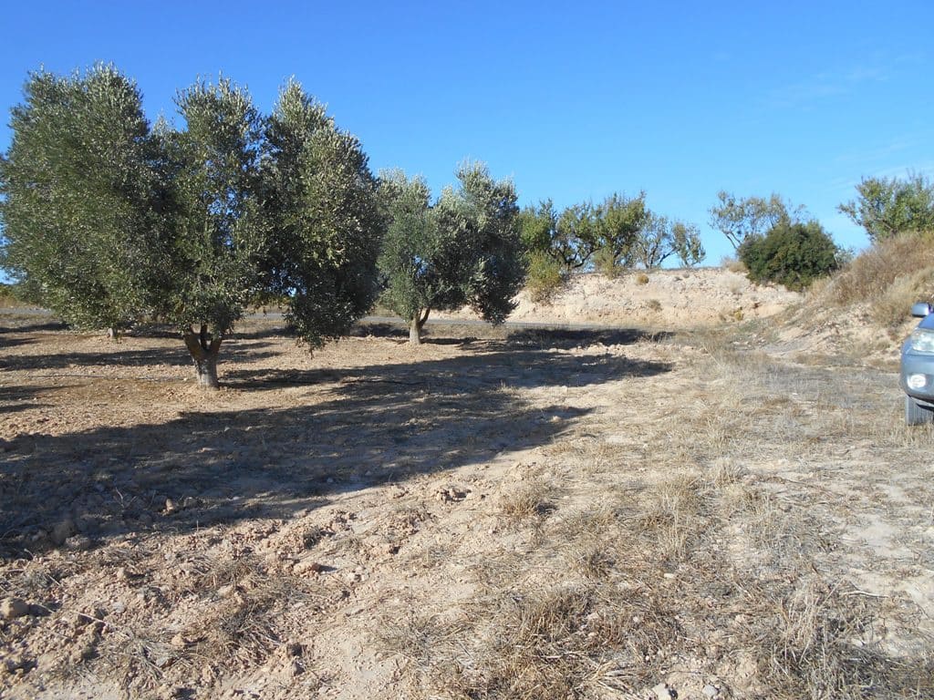 Finca/Casa di Campagna in vendita in Gandesa - 12.000 € (Rif: 10120575)