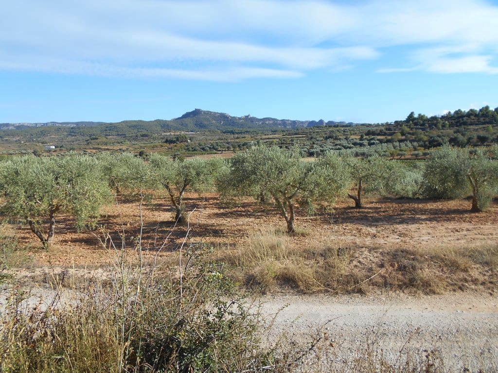 Finca/Casa di Campagna in vendita in Gandesa - 12.000 € (Rif: 10120575)