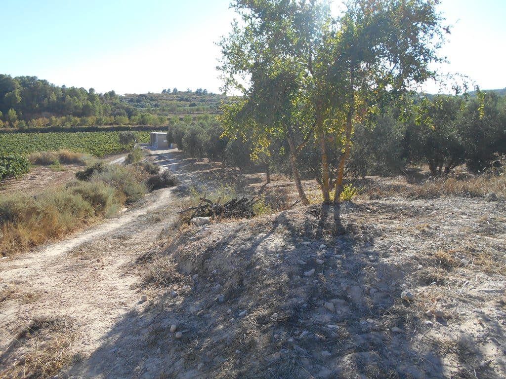 Finca/Casa di Campagna in vendita in Gandesa - 12.000 € (Rif: 10120575)