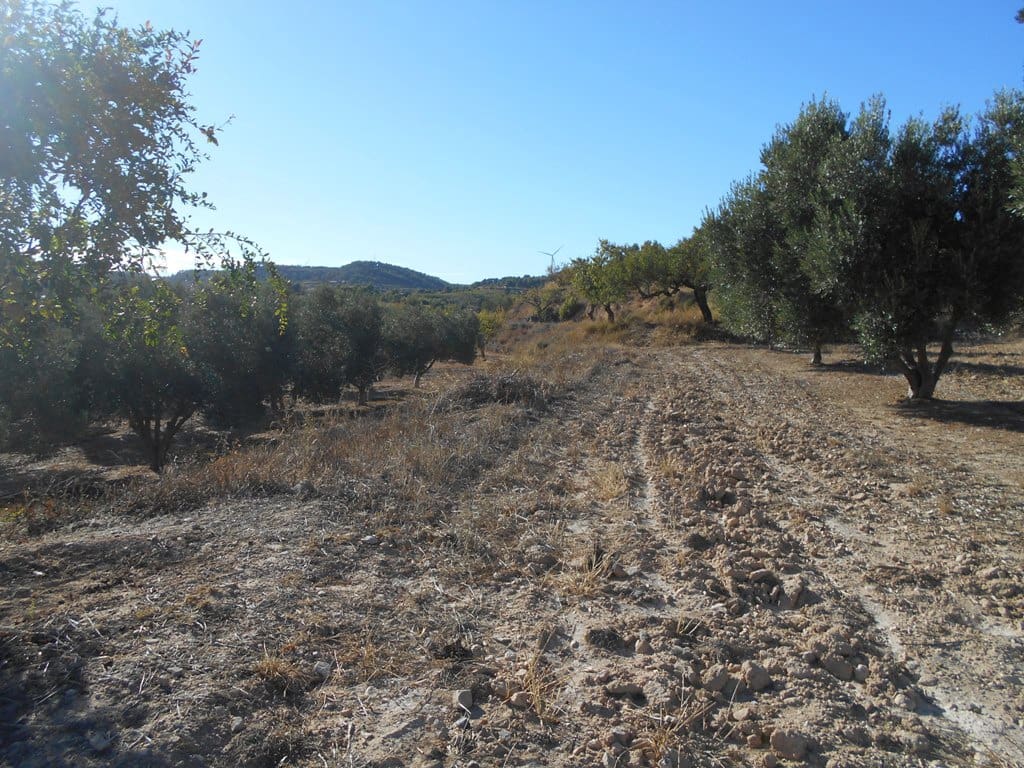 Finca/Casa di Campagna in vendita in Gandesa - 12.000 € (Rif: 10120575)