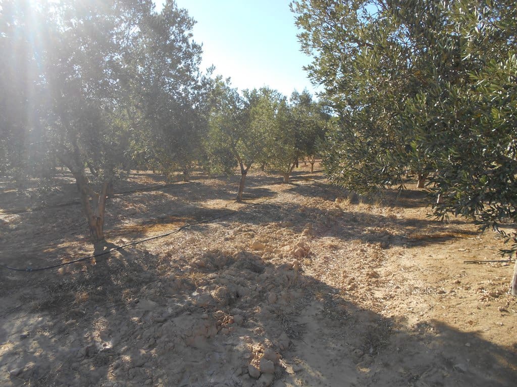 Finca/Casa di Campagna in vendita in Gandesa - 12.000 € (Rif: 10120575)