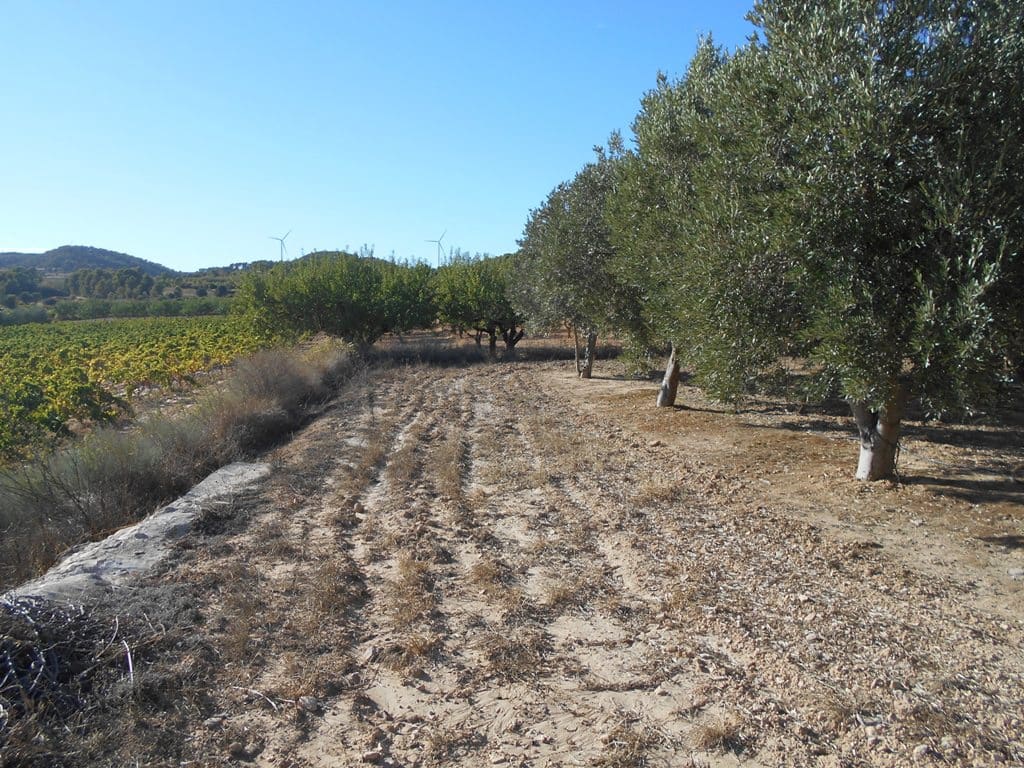 Finca/Casa di Campagna in vendita in Gandesa - 12.000 € (Rif: 10120575)
