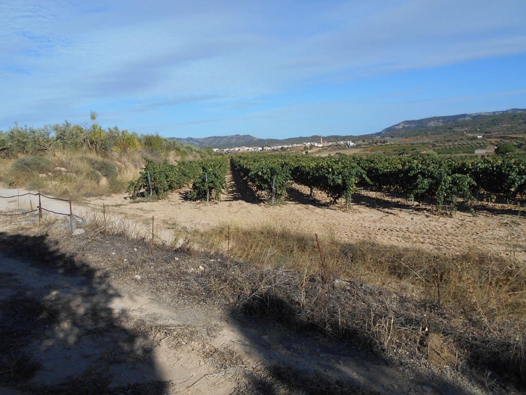 Finca/Casa di Campagna in vendita in Gandesa - 12.000 € (Rif: 10120575)