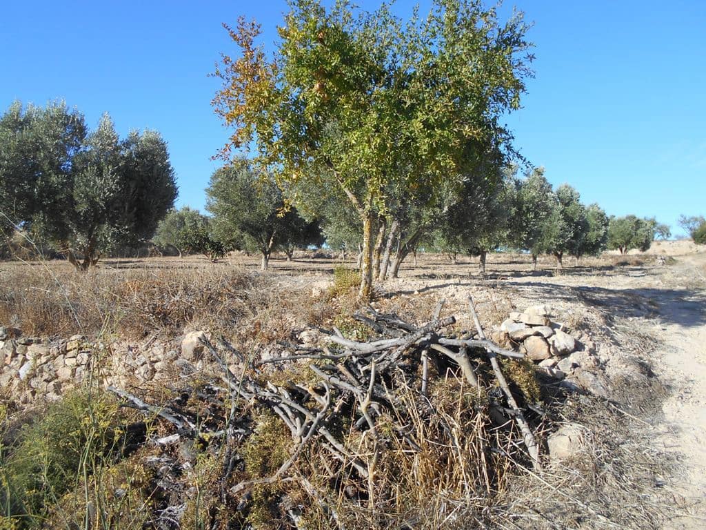 Finca/Casa di Campagna in vendita in Gandesa - 12.000 € (Rif: 10120575)