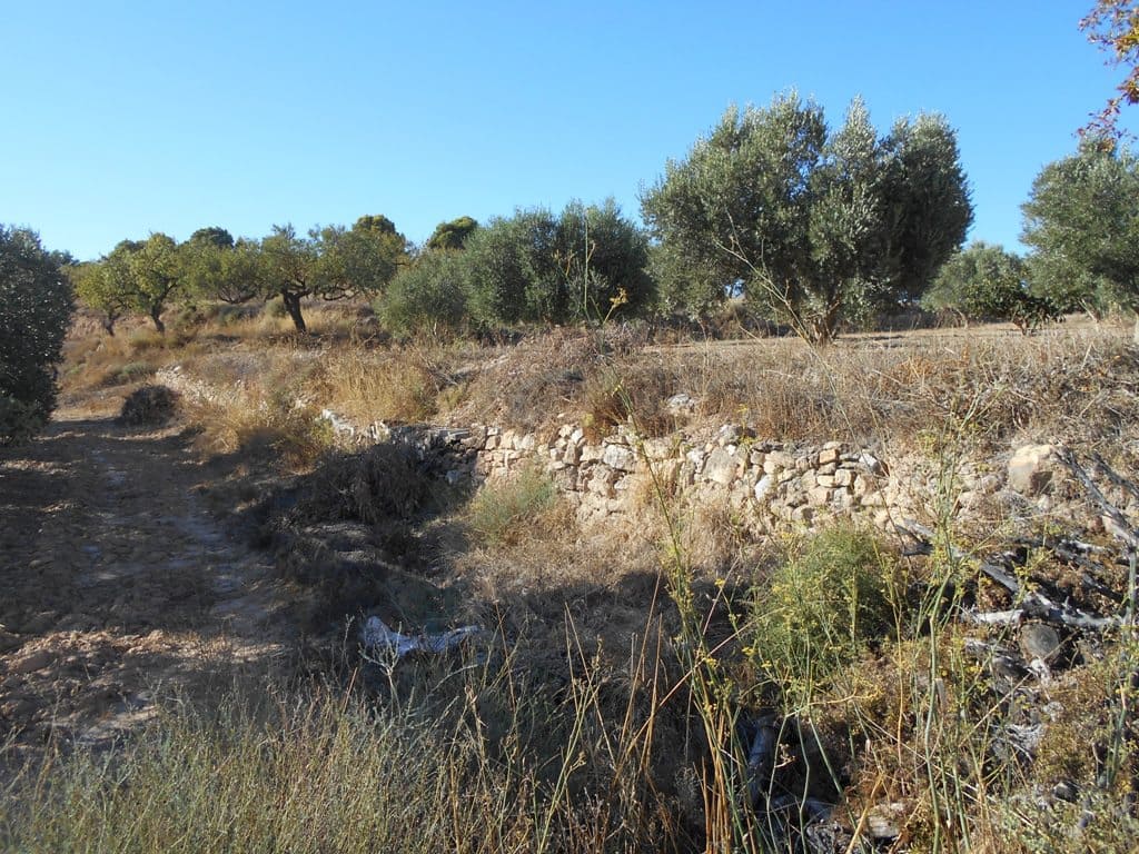 Finca/Casa di Campagna in vendita in Gandesa - 12.000 € (Rif: 10120575)