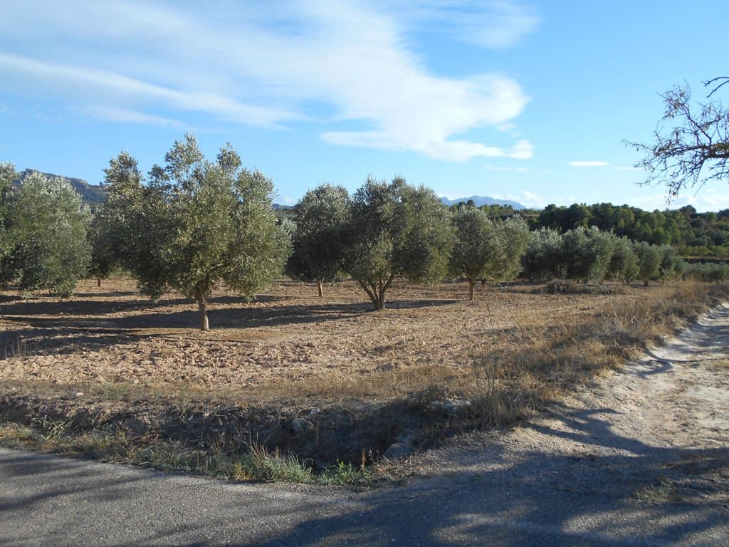 Finca/Casa di Campagna in vendita in Gandesa - 12.000 € (Rif: 10120575)