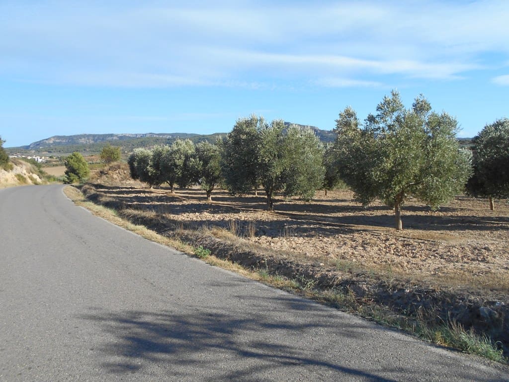 Finca/Casa di Campagna in vendita in Gandesa - 12.000 € (Rif: 10120575)