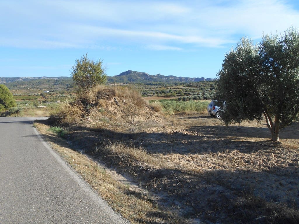Finca/Casa di Campagna in vendita in Gandesa - 12.000 € (Rif: 10120575)