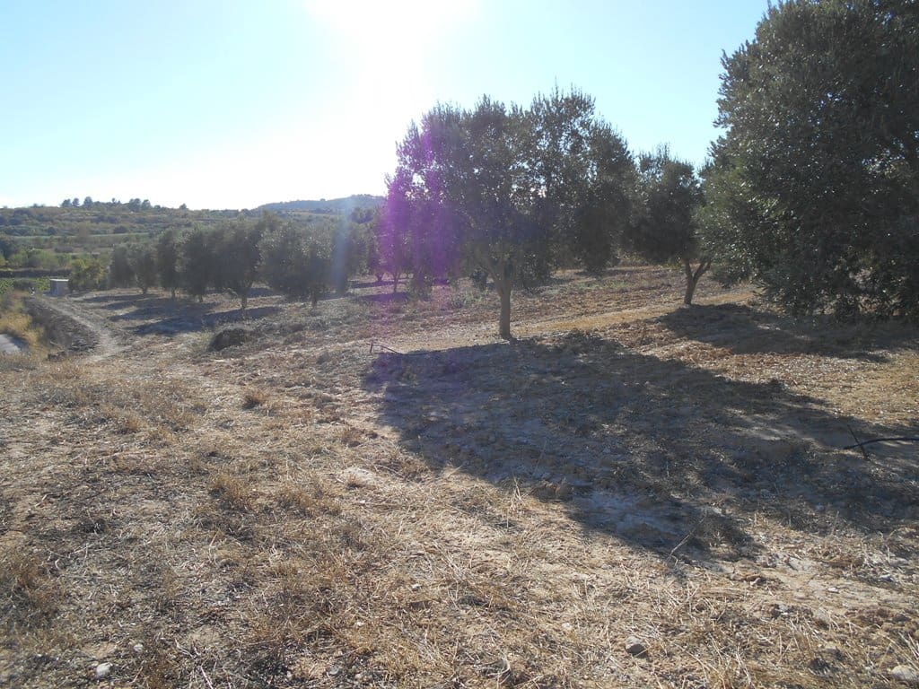 Finca/Casa di Campagna in vendita in Gandesa - 12.000 € (Rif: 10120575)