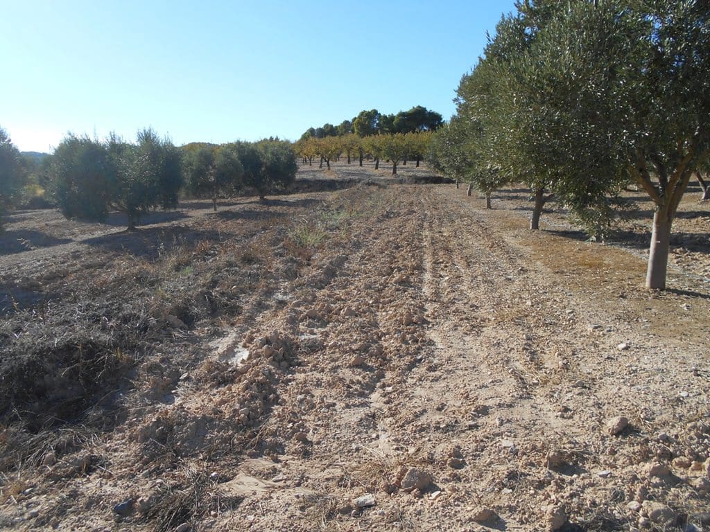 Finca/Casa di Campagna in vendita in Gandesa - 12.000 € (Rif: 10120575)