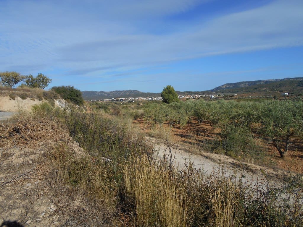 Finca/Casa di Campagna in vendita in Gandesa - 12.000 € (Rif: 10120575)
