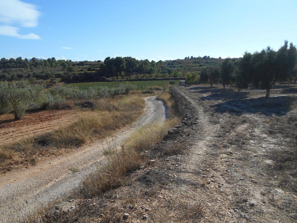 Finca/Casa di Campagna in vendita in Gandesa - 12.000 € (Rif: 10120575)