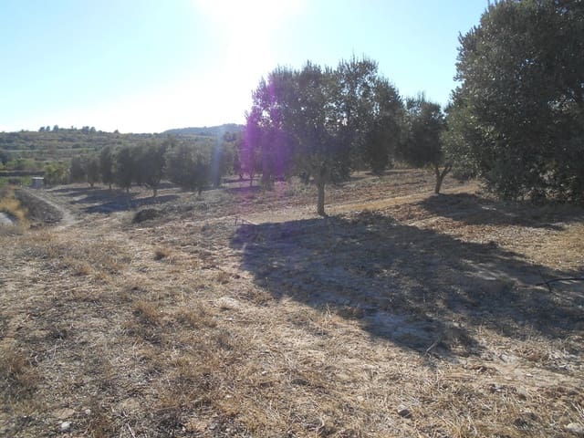 Finca/Casa di Campagna in vendita in Gandesa - 12.000 € (Rif: 10120575)
