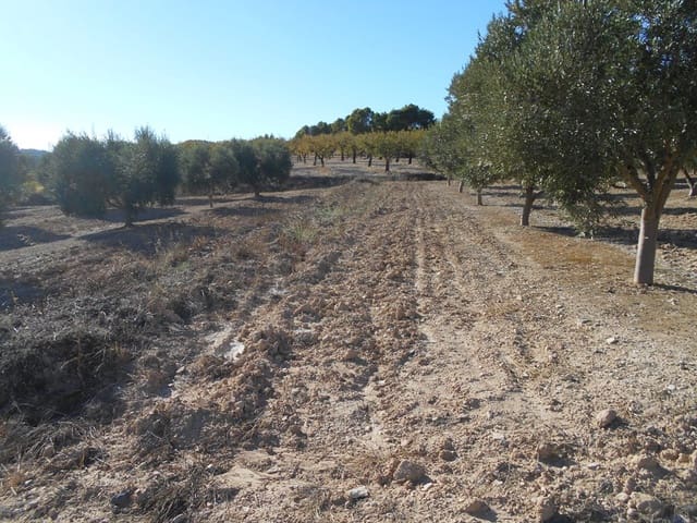 Finca/Casa di Campagna in vendita in Gandesa - 12.000 € (Rif: 10120575)