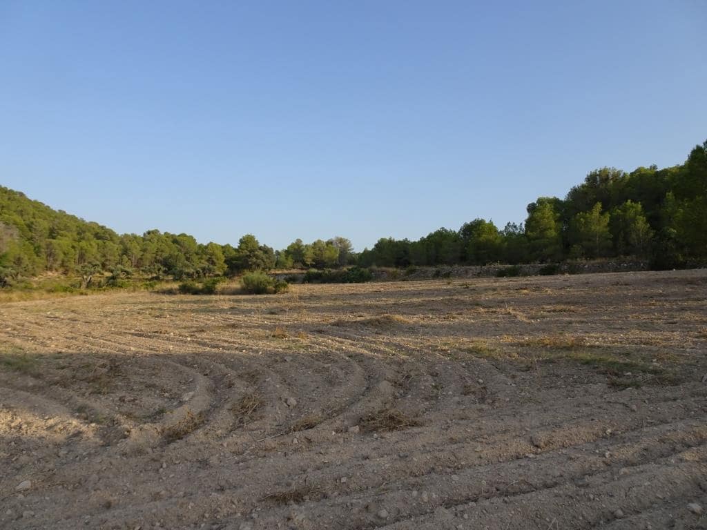 Finca/Casa di Campagna in vendita in Benissanet - 54.000 € (Rif: 10120576)
