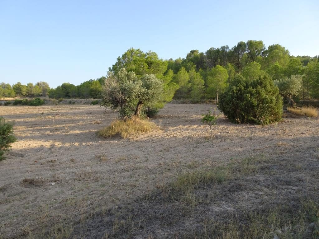 Finca/Casa di Campagna in vendita in Benissanet - 54.000 € (Rif: 10120576)
