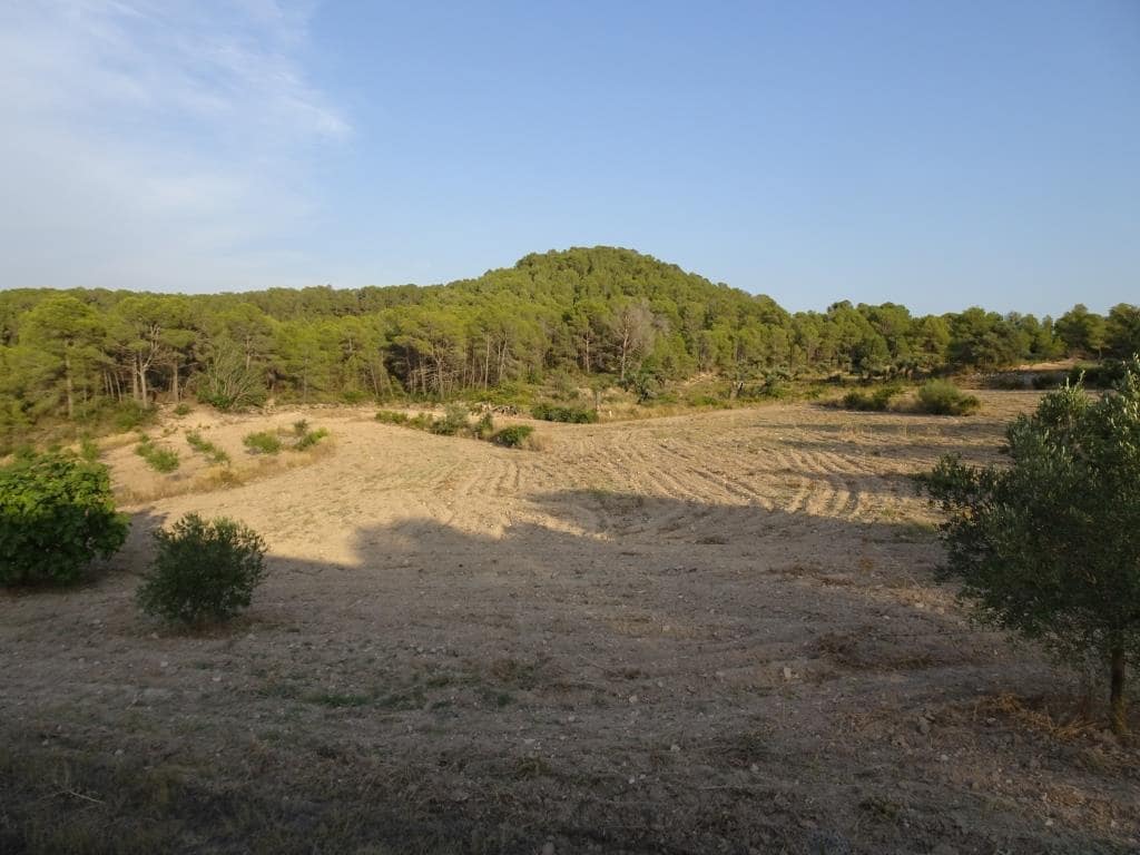 Finca/Casa di Campagna in vendita in Benissanet - 54.000 € (Rif: 10120576)