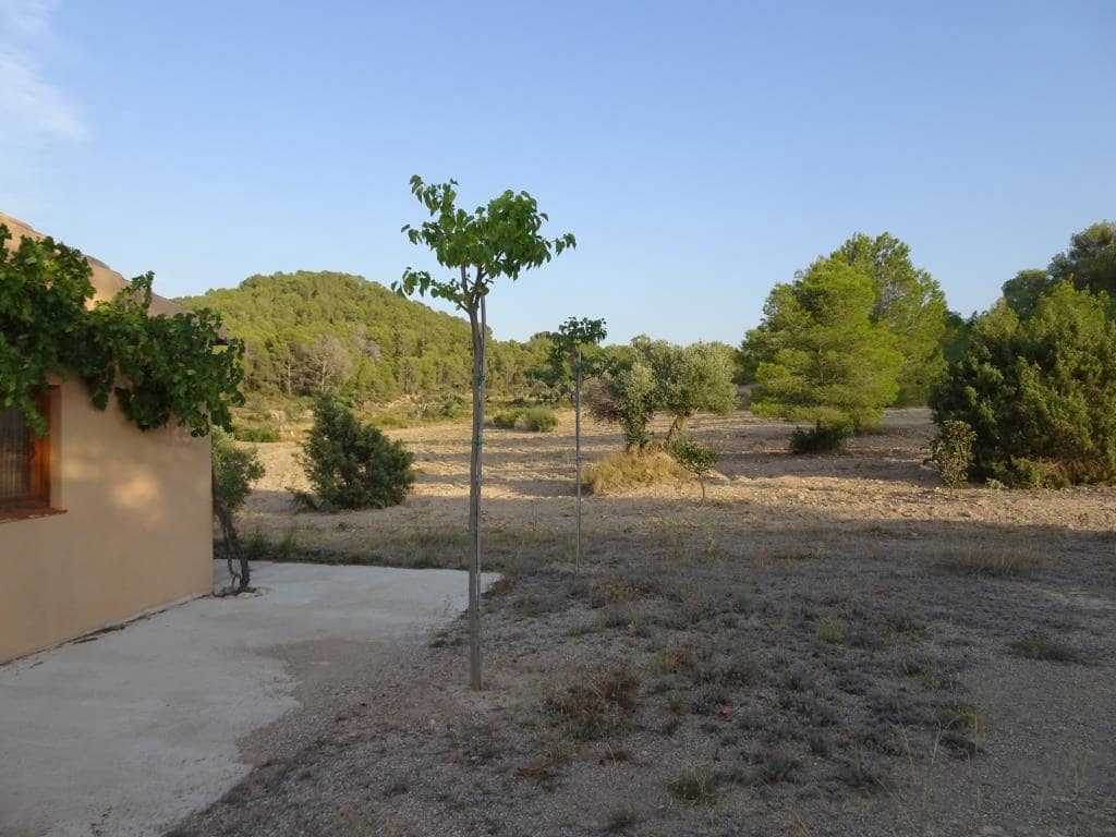 Finca/Casa di Campagna in vendita in Benissanet - 54.000 € (Rif: 10120576)