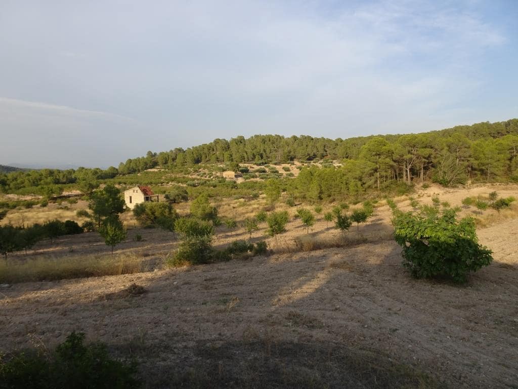 Finca/Casa di Campagna in vendita in Benissanet - 54.000 € (Rif: 10120576)