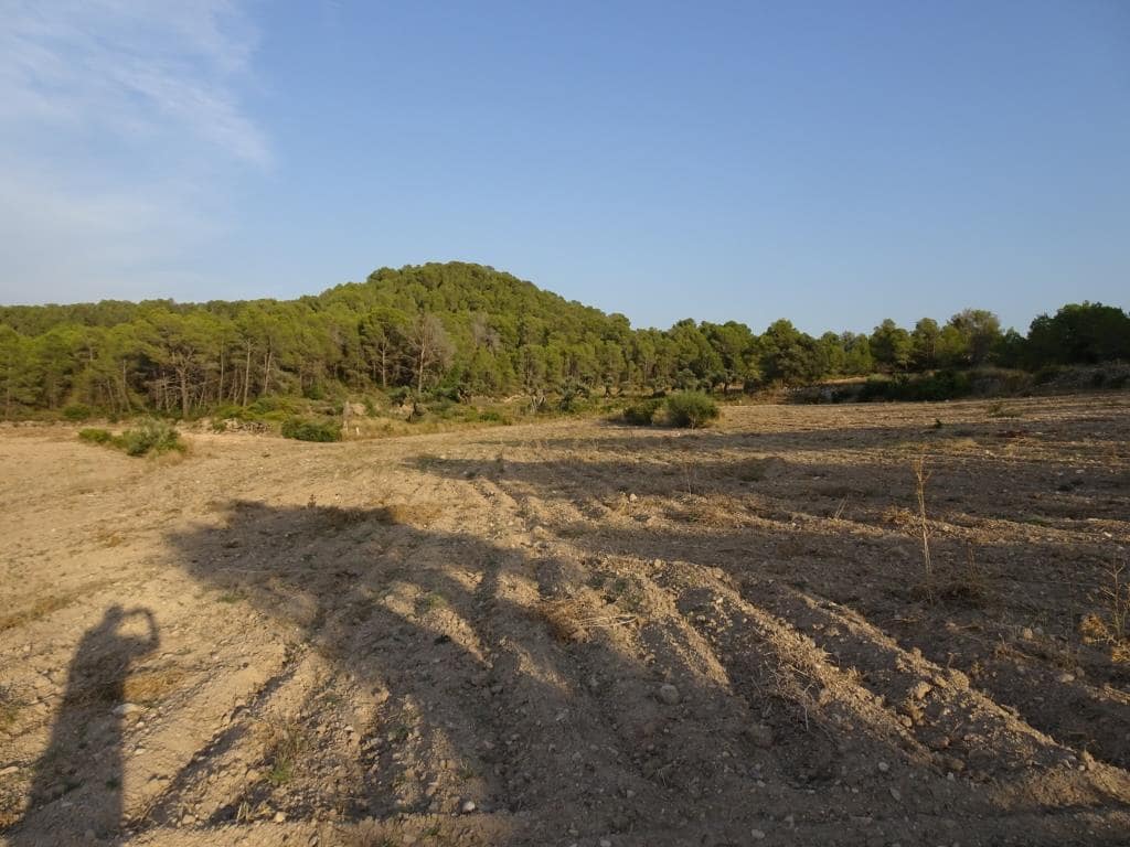 Finca/Casa di Campagna in vendita in Benissanet - 54.000 € (Rif: 10120576)