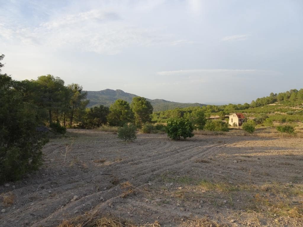 Finca/Casa di Campagna in vendita in Benissanet - 54.000 € (Rif: 10120576)