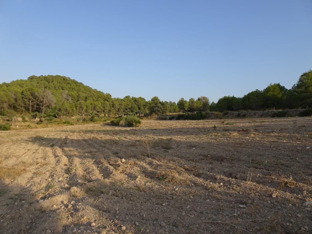 Finca/Casa di Campagna in vendita in Benissanet - 54.000 € (Rif: 10120576)