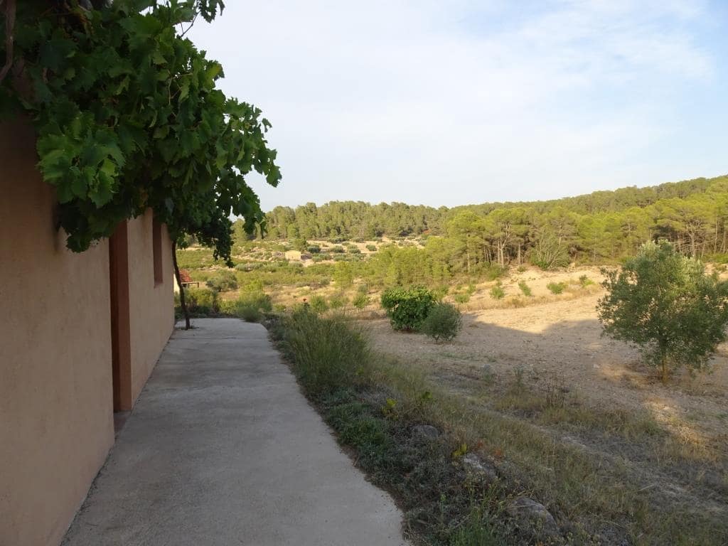 Finca/Casa di Campagna in vendita in Benissanet - 54.000 € (Rif: 10120576)