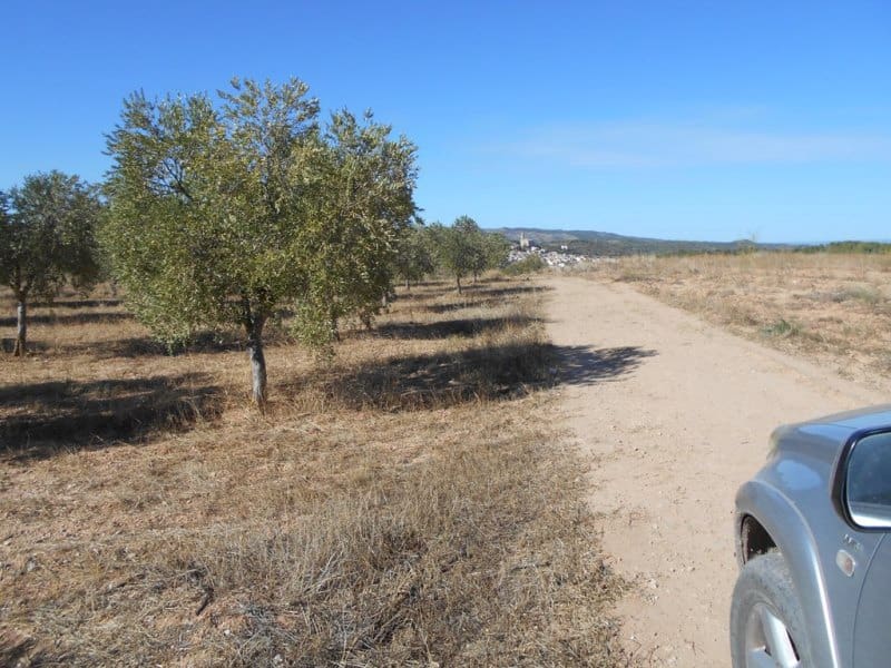Finca/Casa di Campagna in vendita in Corbera d'Ebre - 16.000 € (Rif: 10120577)