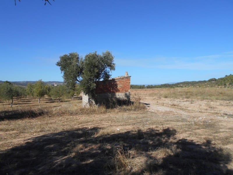 Finca/Casa di Campagna in vendita in Corbera d'Ebre - 16.000 € (Rif: 10120577)