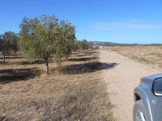 Finca/Casa di Campagna in vendita in Corbera d'Ebre - 16.000 € (Rif: 10120577)