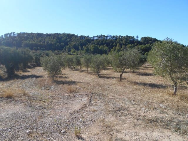 Finca/Casa di Campagna in vendita in Corbera d'Ebre - 16.000 € (Rif: 10120577)