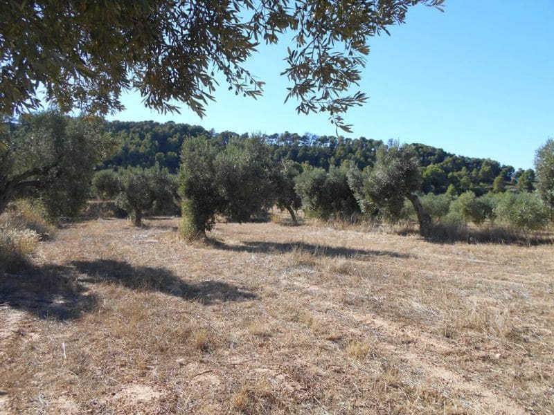 Finca/Casa di Campagna in vendita in Corbera d'Ebre - 16.000 € (Rif: 10120577)