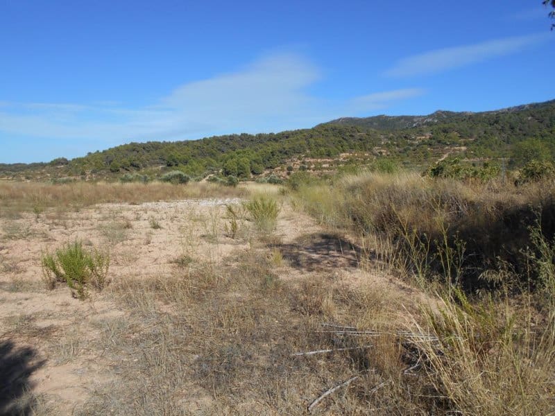 Finca/Casa di Campagna in vendita in Corbera d'Ebre - 16.000 € (Rif: 10120577)