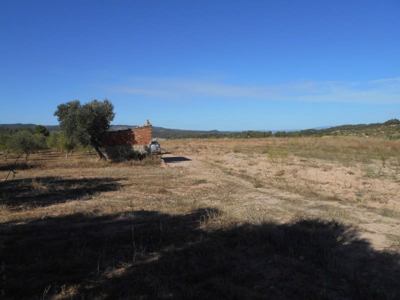 Finca/Casa di Campagna in vendita in Corbera d'Ebre - 16.000 € (Rif: 10120577)