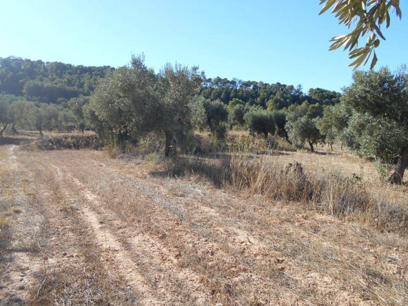 Finca/Casa di Campagna in vendita in Corbera d'Ebre - 16.000 € (Rif: 10120577)