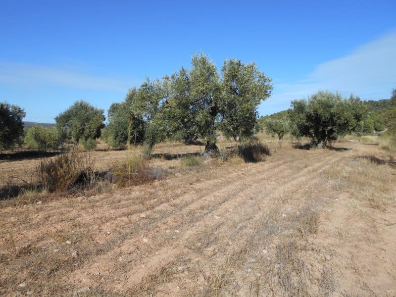 Finca/Casa di Campagna in vendita in Corbera d'Ebre - 16.000 € (Rif: 10120577)