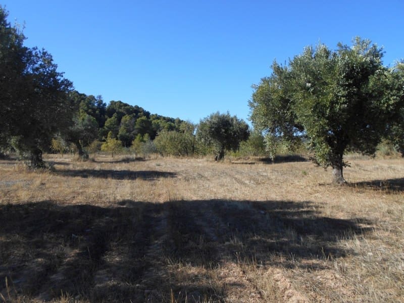 Finca/Casa di Campagna in vendita in Corbera d'Ebre - 16.000 € (Rif: 10120577)