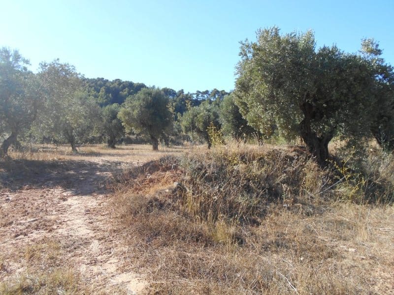 Finca/Casa di Campagna in vendita in Corbera d'Ebre - 16.000 € (Rif: 10120577)