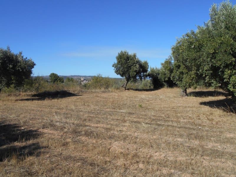 Finca/Casa di Campagna in vendita in Corbera d'Ebre - 16.000 € (Rif: 10120577)