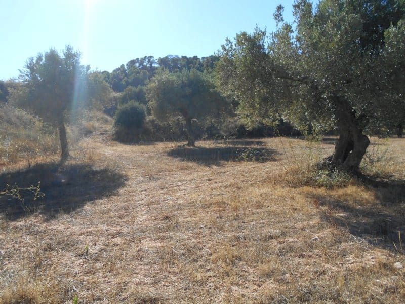 Finca/Casa di Campagna in vendita in Corbera d'Ebre - 16.000 € (Rif: 10120577)