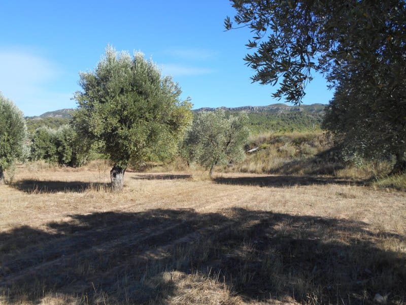 Finca/Casa di Campagna in vendita in Corbera d'Ebre - 16.000 € (Rif: 10120577)