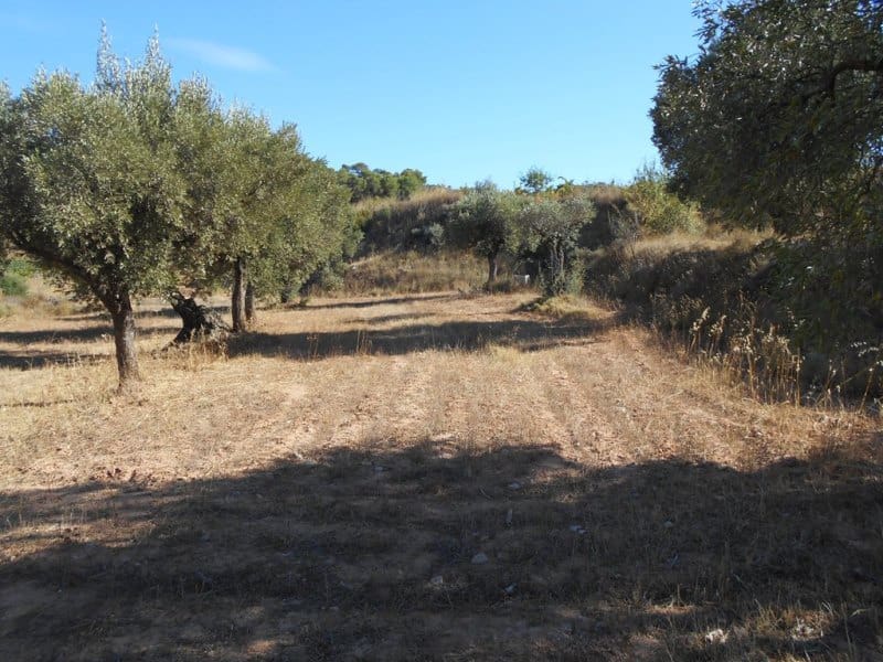 Finca/Casa di Campagna in vendita in Corbera d'Ebre - 16.000 € (Rif: 10120577)