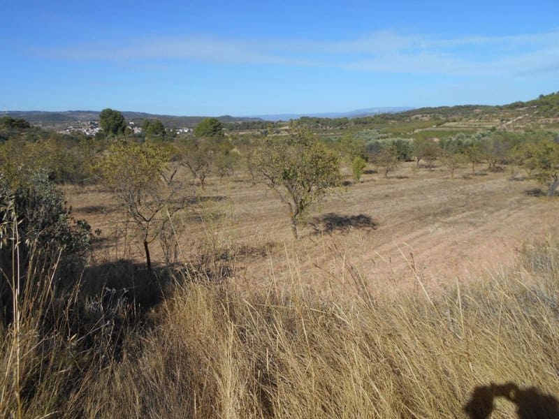 Finca/Casa di Campagna in vendita in Corbera d'Ebre - 16.000 € (Rif: 10120577)