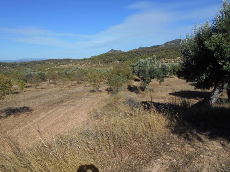 Finca/Casa di Campagna in vendita in Corbera d'Ebre - 16.000 € (Rif: 10120577)