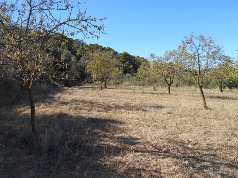 Finca/Casa di Campagna in vendita in Corbera d'Ebre - 16.000 € (Rif: 10120577)