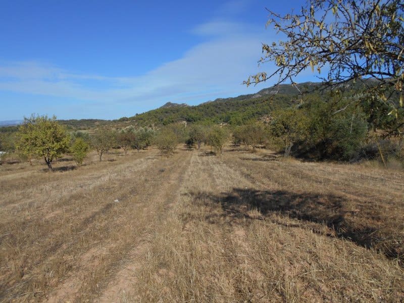 Finca/Casa di Campagna in vendita in Corbera d'Ebre - 16.000 € (Rif: 10120577)